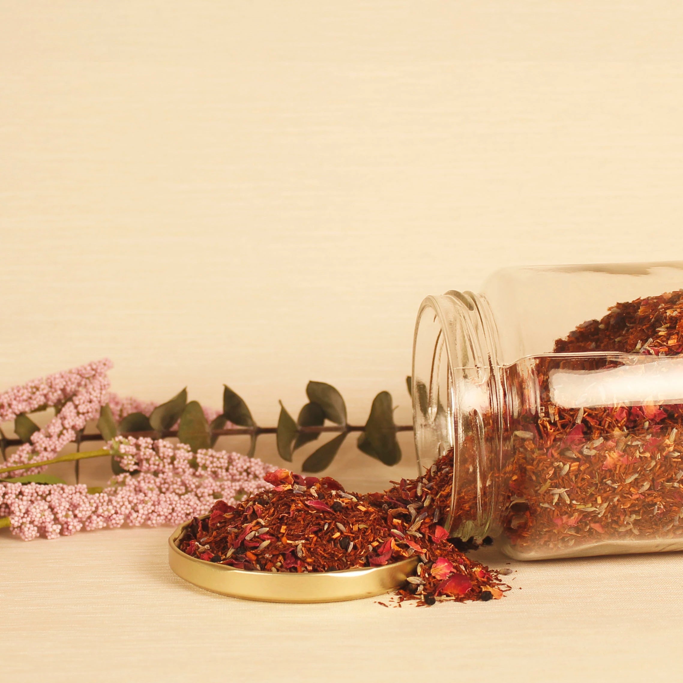 Rooibos