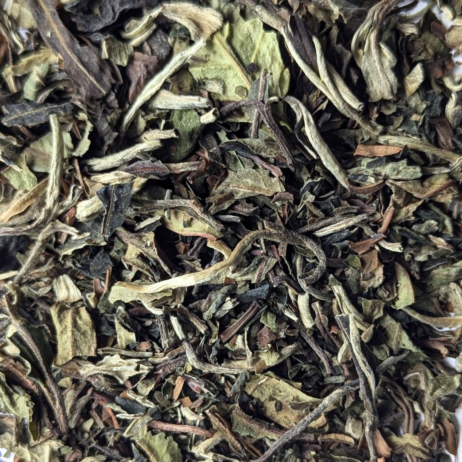 White Peony Pai Mu Tan