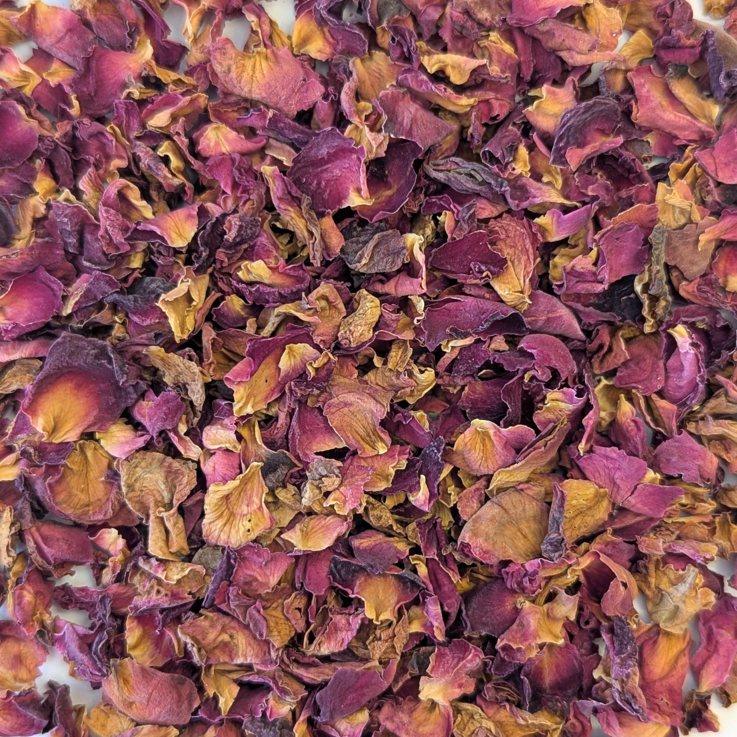 Pétales de Rose
