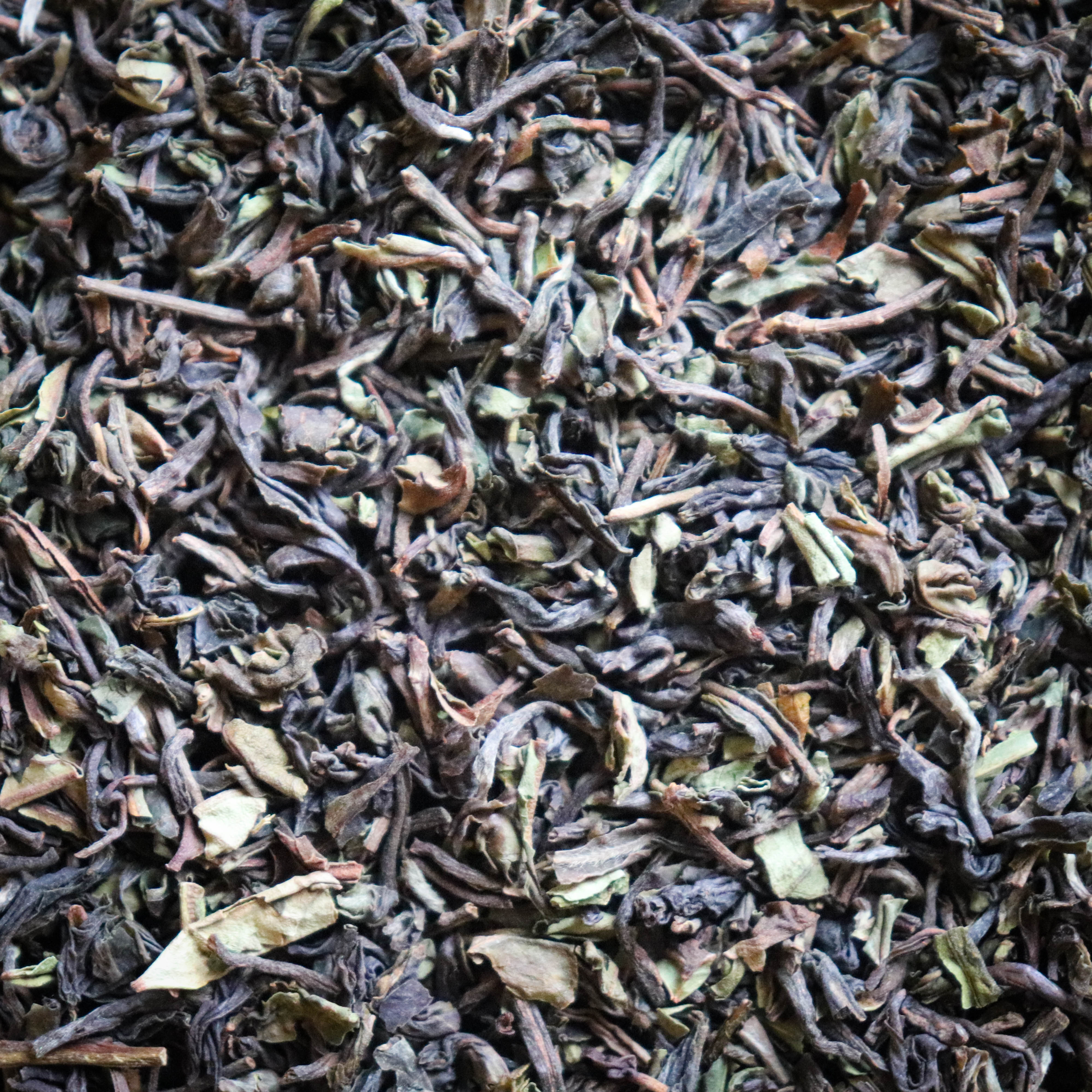 Organic Darjeeling