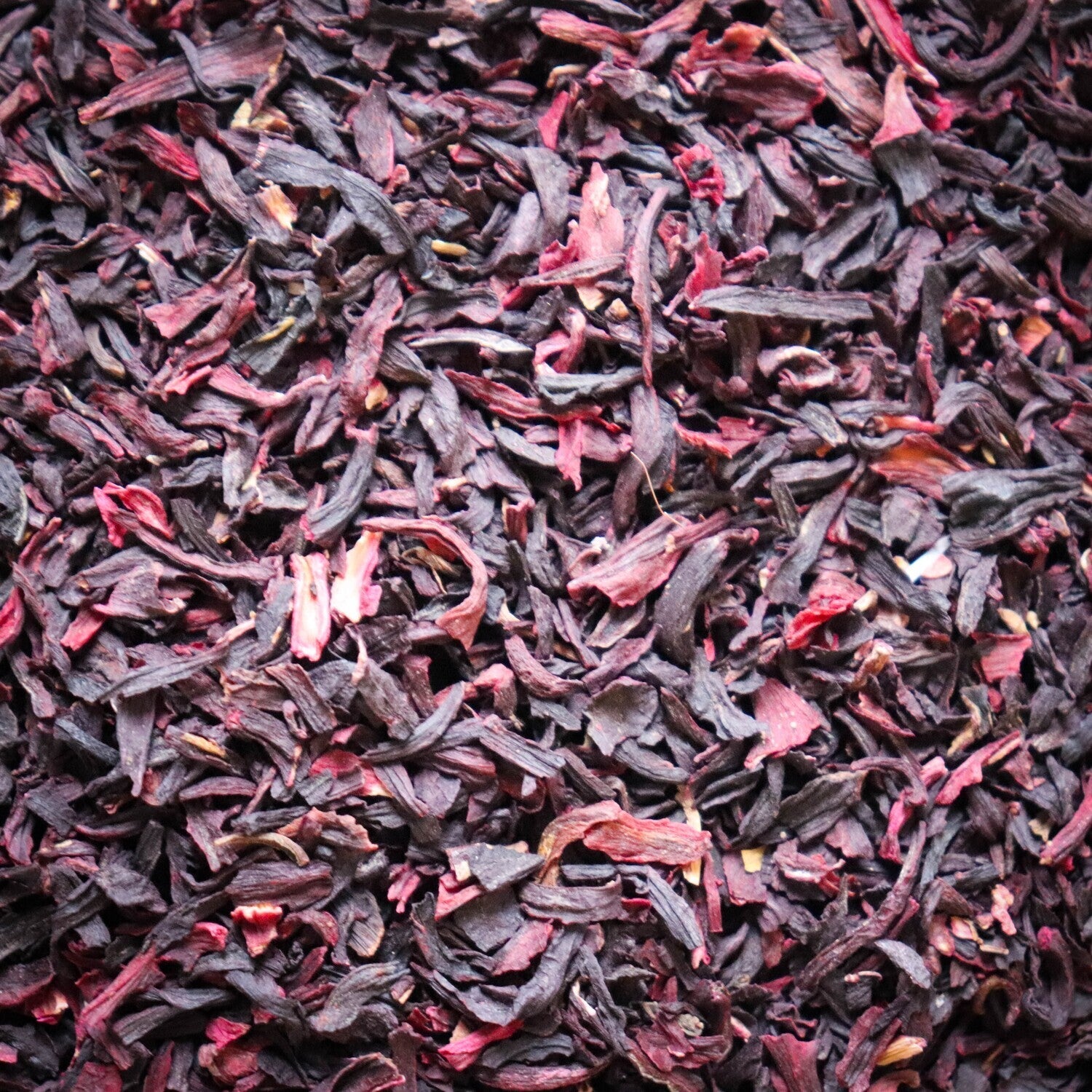 Hibiscus