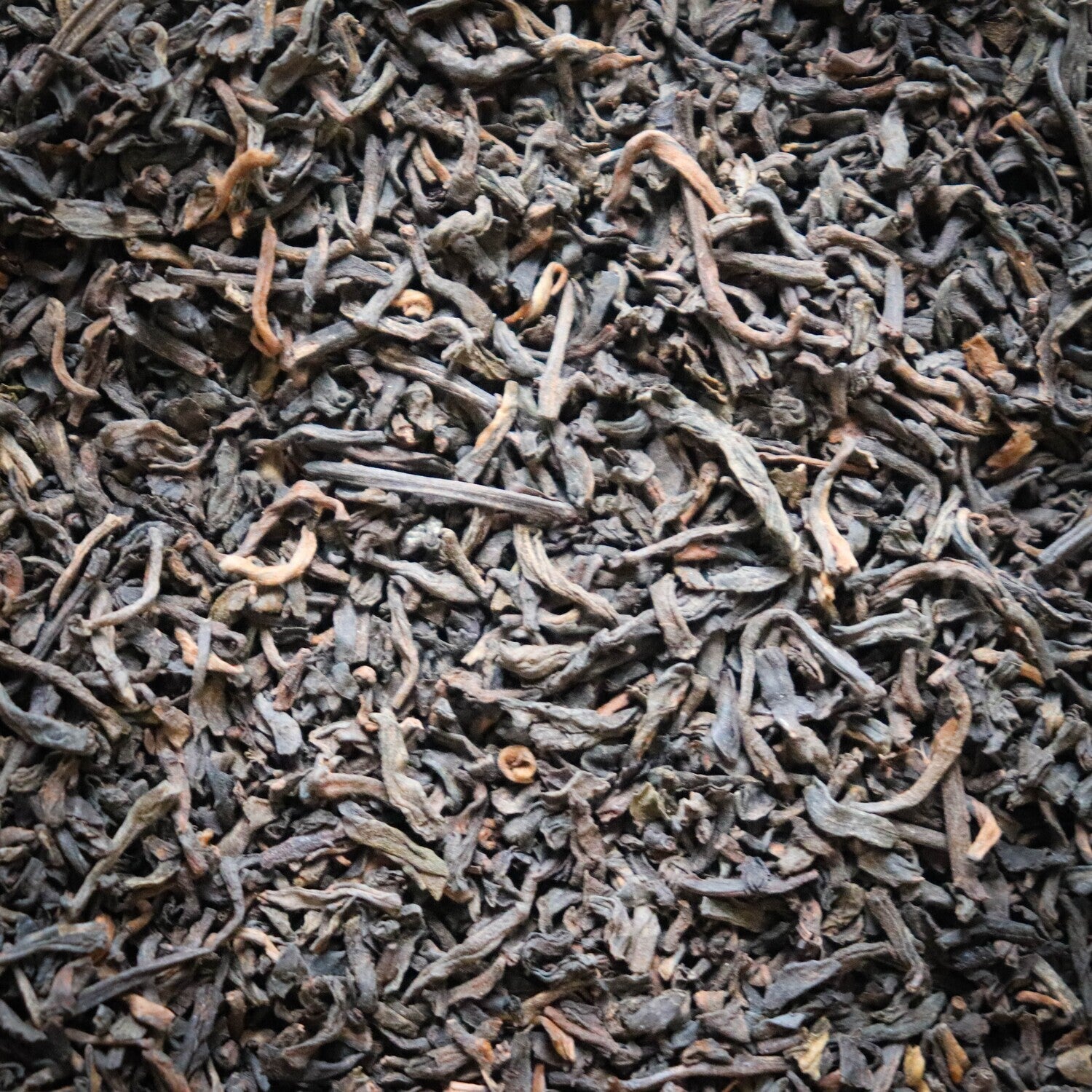 Pu Erh